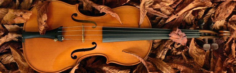 Violin