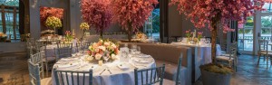 Decoración de primavera 2025: ideas frescas para tus fiestas y eventos