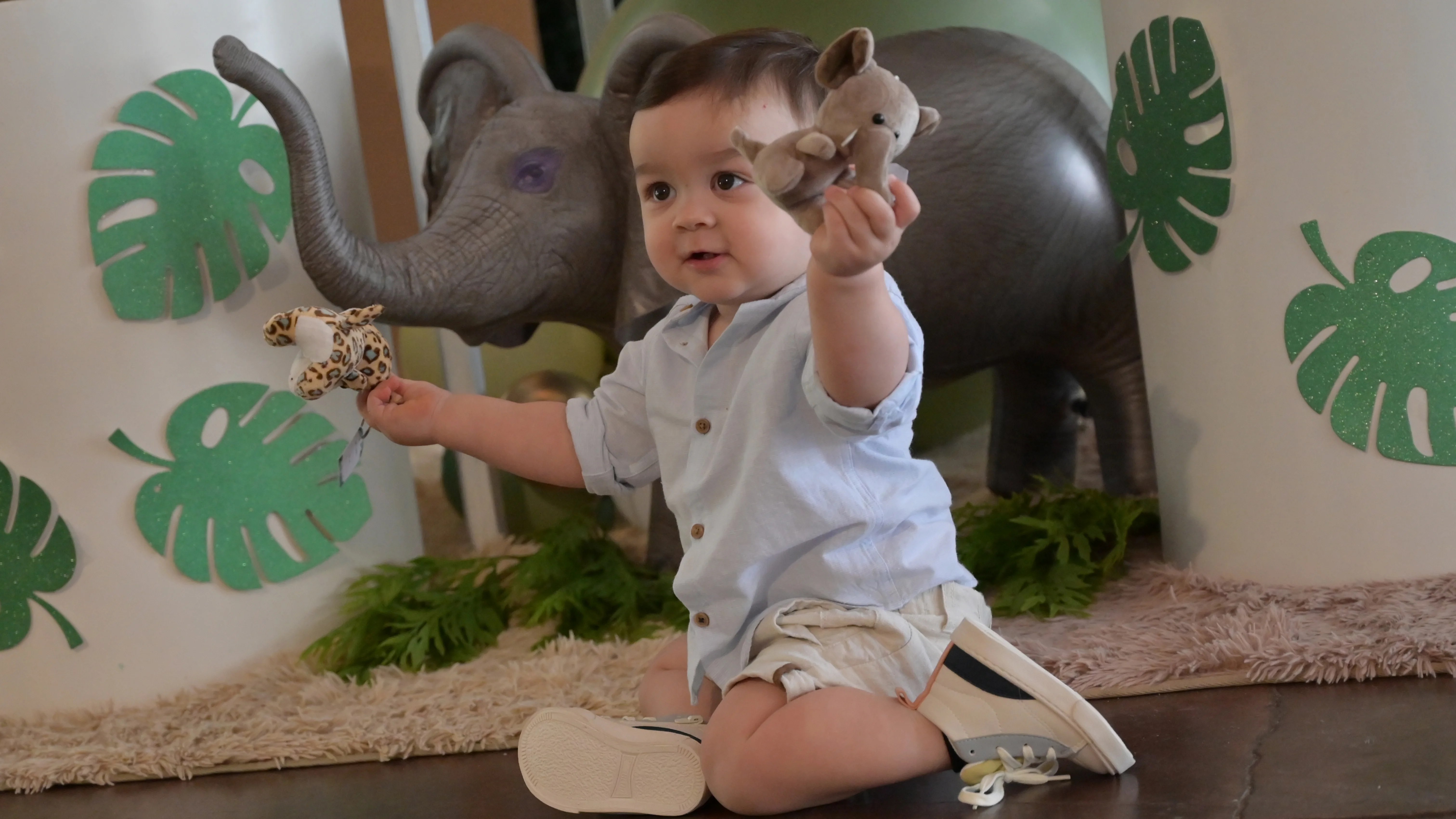 cabezal-fotografia-y-video-adolfo-blanco-producciones.webp