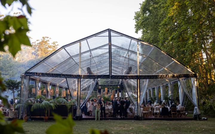 BLINK CARPAS Y EVENTOS
