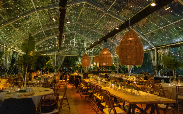 BLINK CARPAS Y EVENTOS