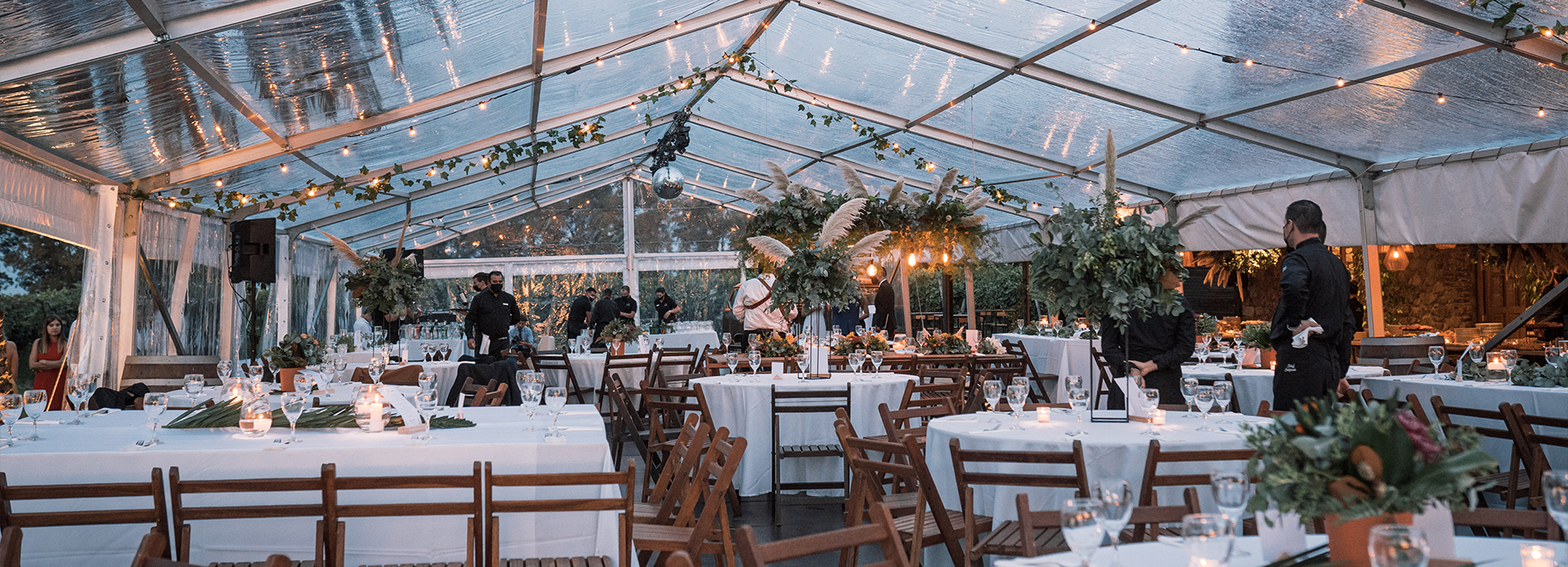 BLINK CARPAS Y EVENTOS