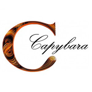 Logo de CAPYBARA - SALON CAPYBARA