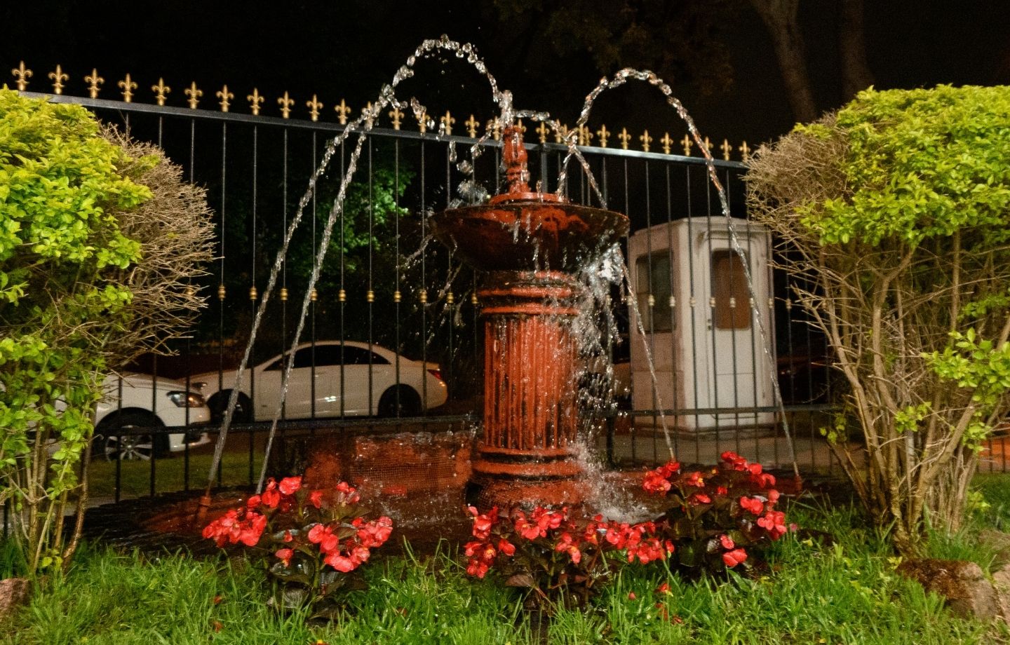 Jardín - Salón Capybara