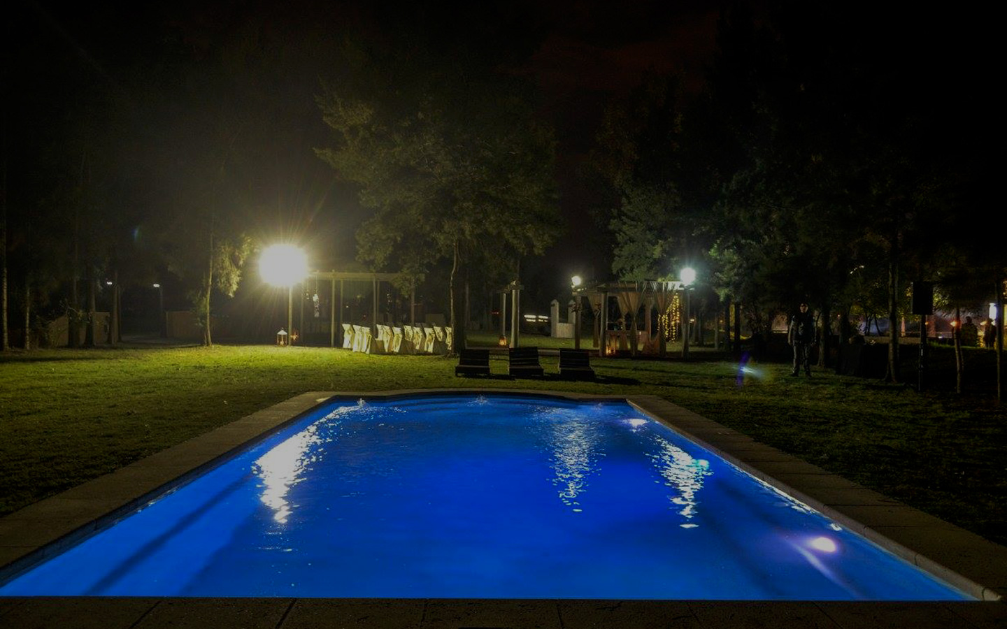 Ver todas las fotos de la galería