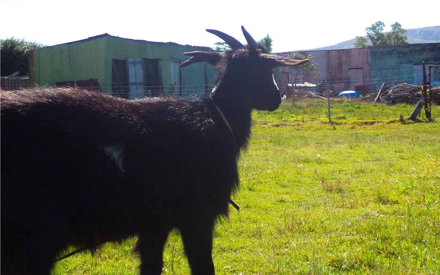 CHACRA TURÍSTICA LA PAMPA - PAN DE AZÚCAR