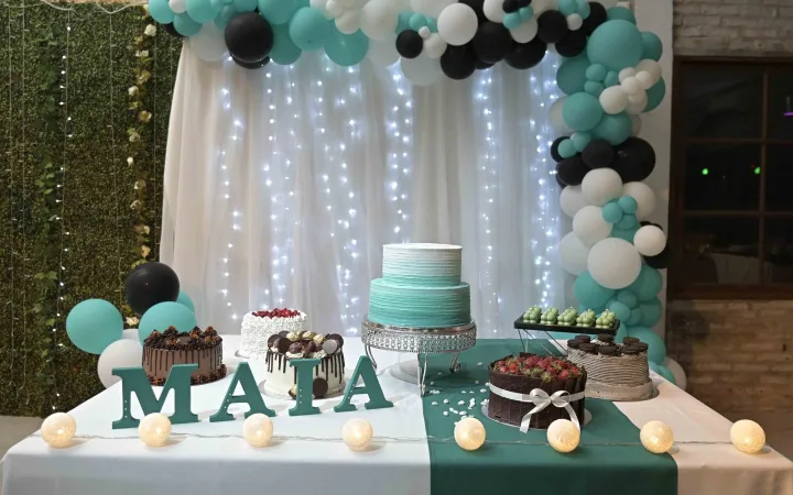 DEGUSTART - Organización Integral para Cumpleaños de 15