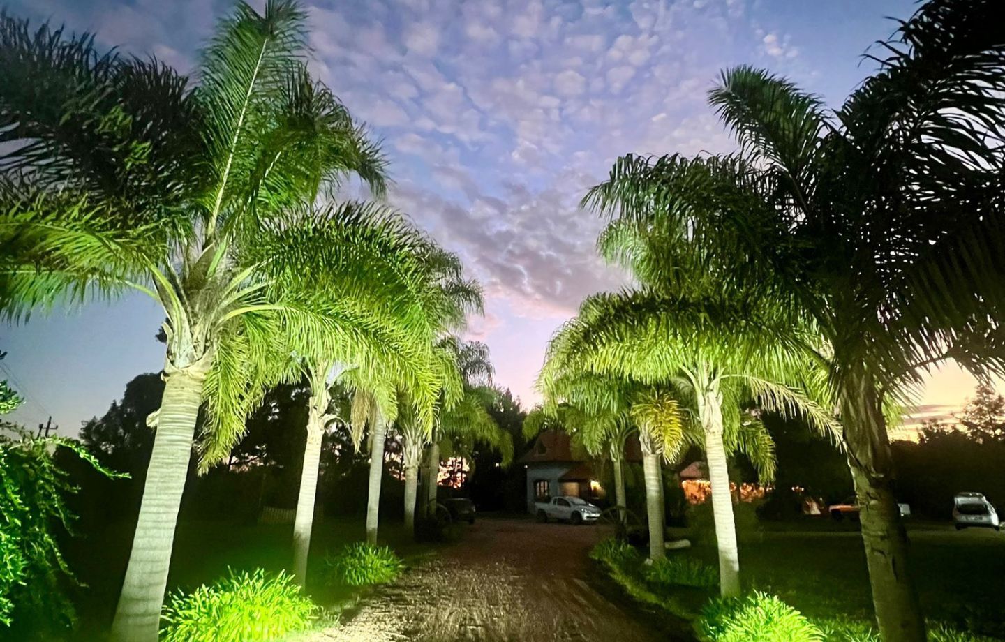 EL CAMPO EVENTOS 