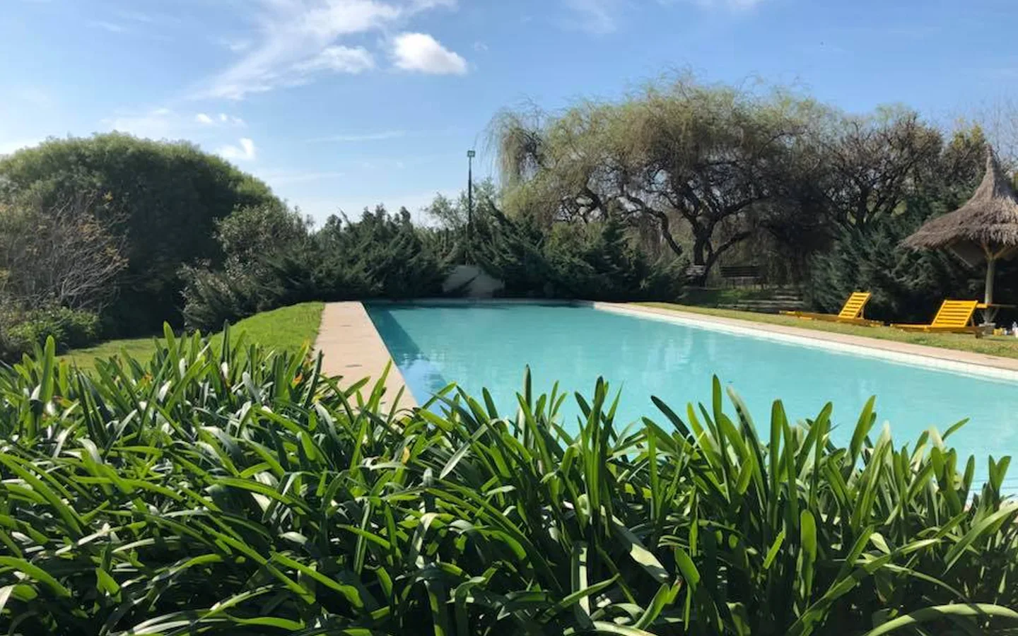LA CASA DE LOS LIMONEROS
