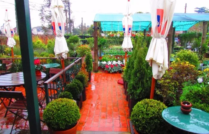 LAVENDER TEA ROOM