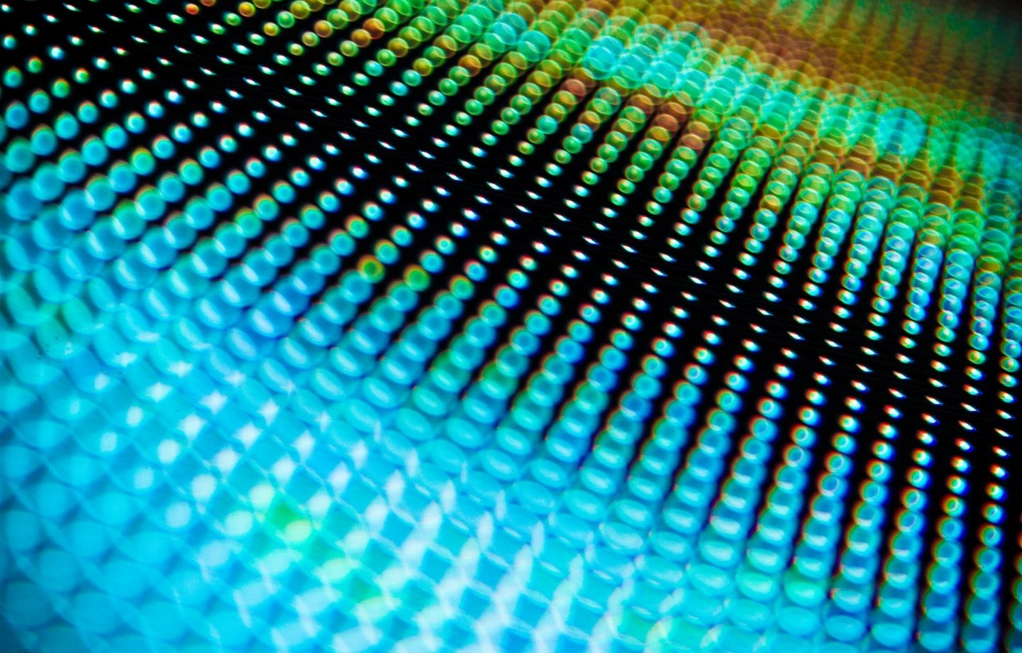 MOSCARDI DISCOTECA AUDIO Y LUCES