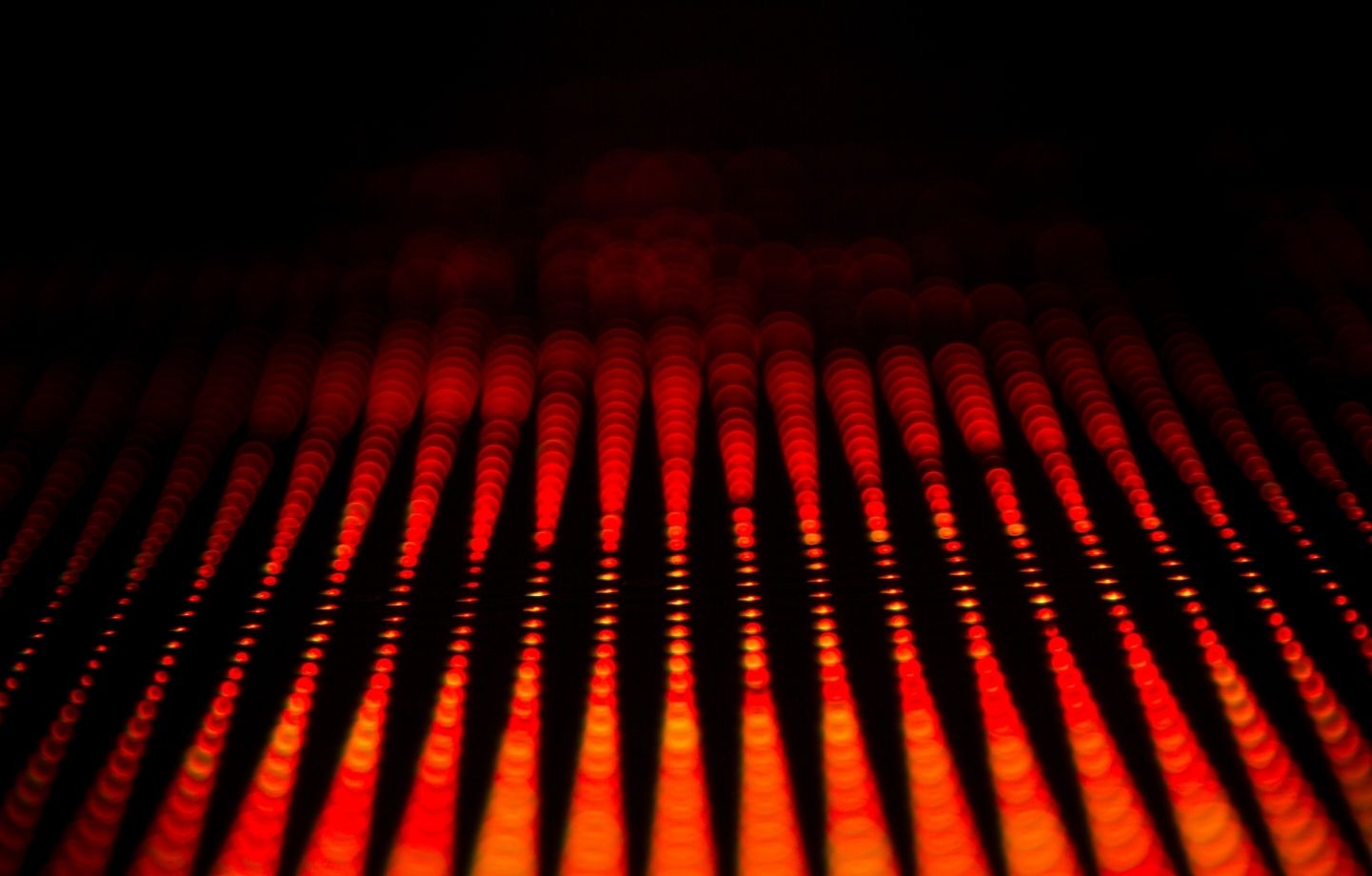 MOSCARDI DISCOTECA AUDIO Y LUCES