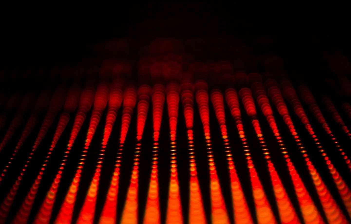 MOSCARDI DISCOTECA AUDIO Y LUCES