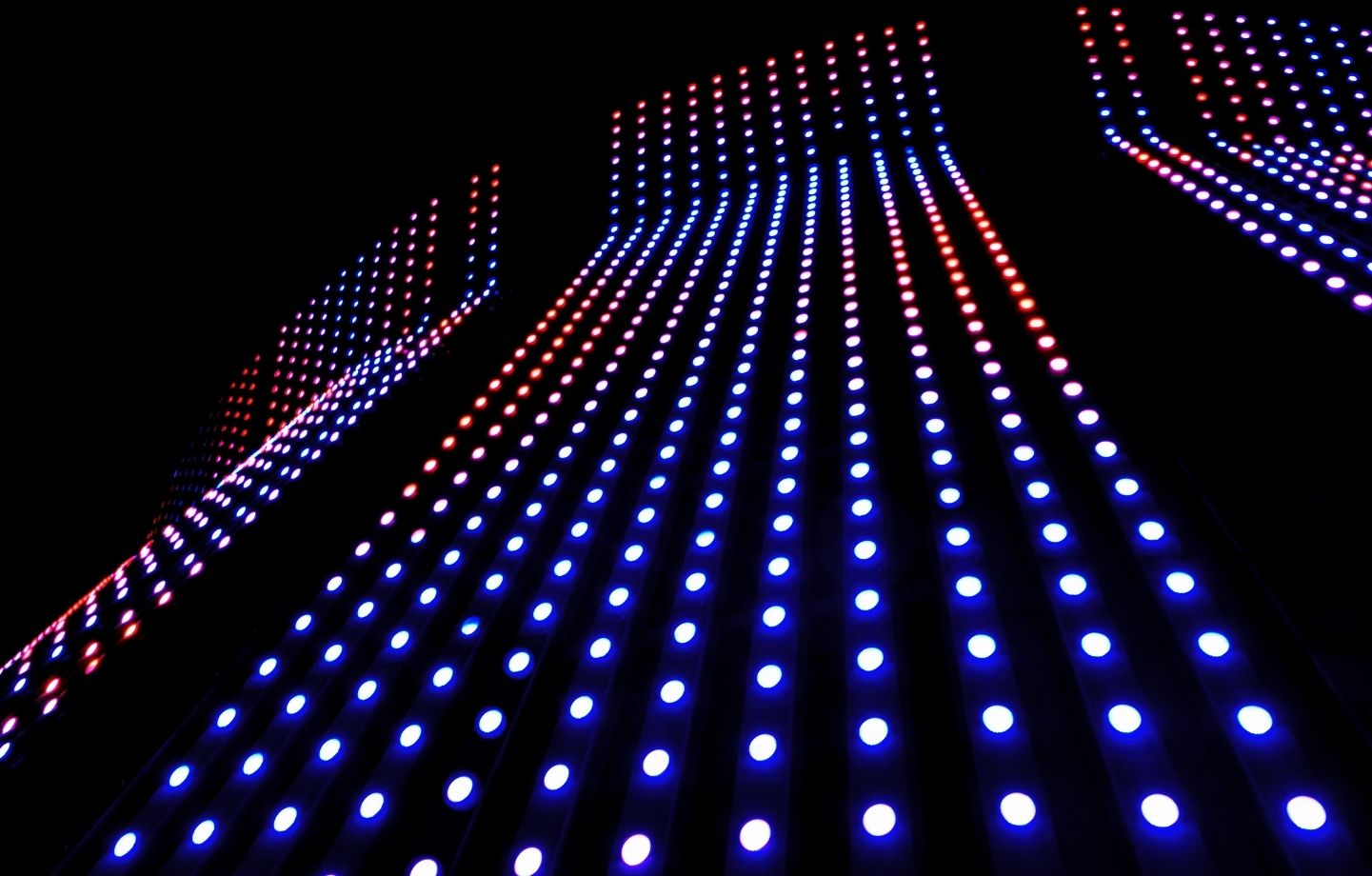 MOSCARDI DISCOTECA AUDIO Y LUCES