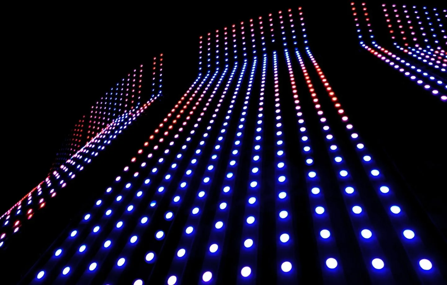 MOSCARDI DISCOTECA AUDIO Y LUCES