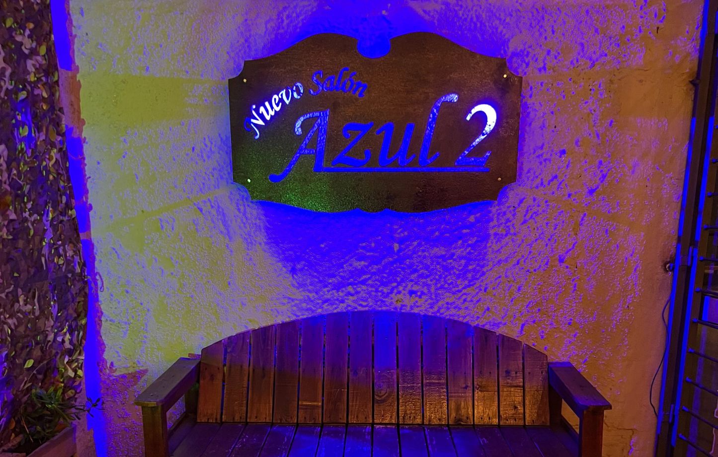 NUEVO SALON AZUL 2