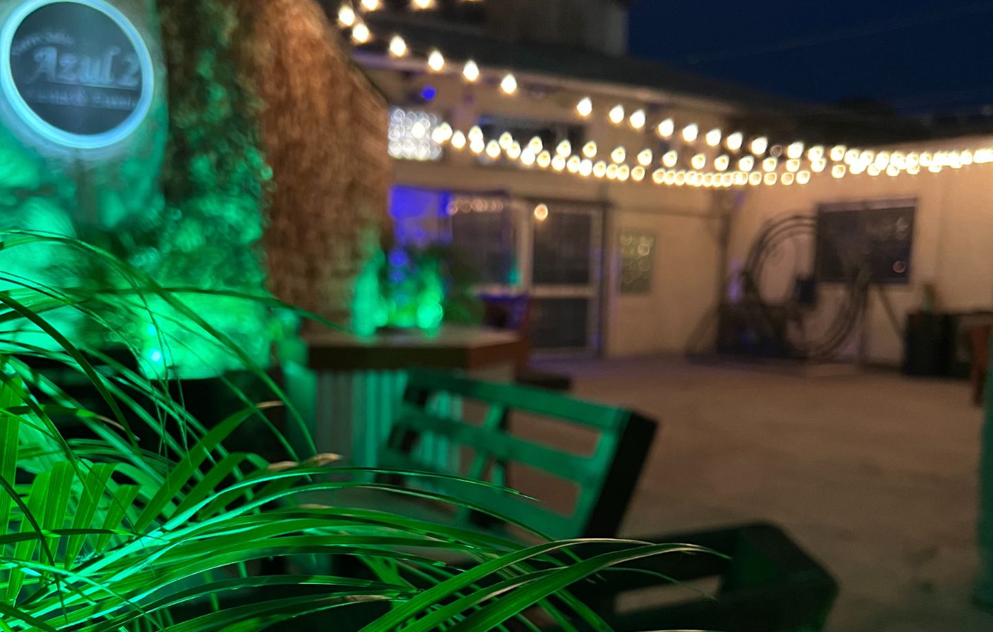 NUEVO SALON AZUL 2