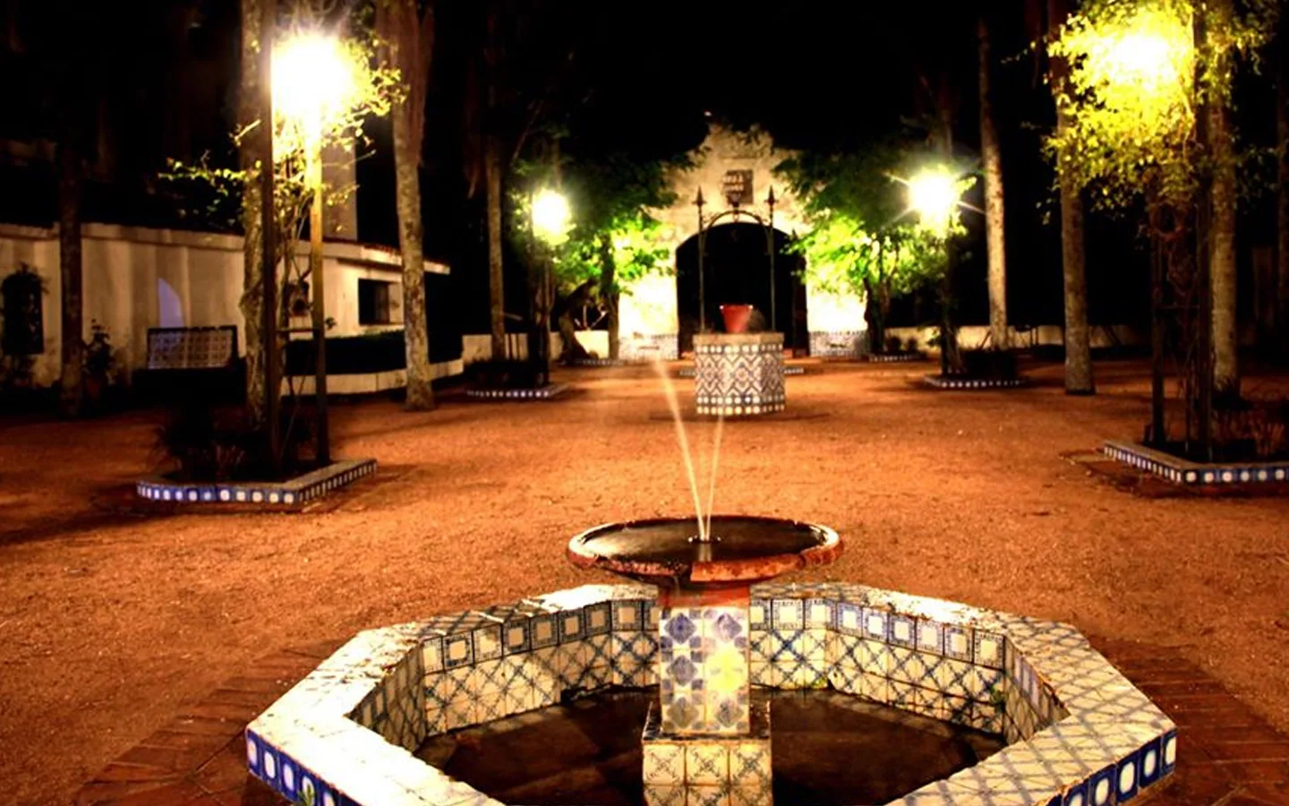 SAN PEDRO DEL TIMOTE