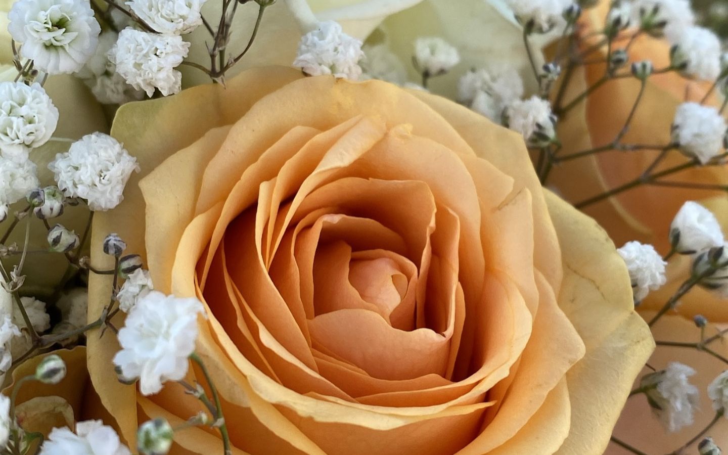 VALERIA COMESAÑA FLORAL &AMP; EVENT DESIGNER